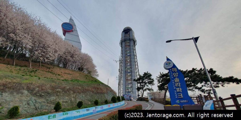 진해 군항제 후기