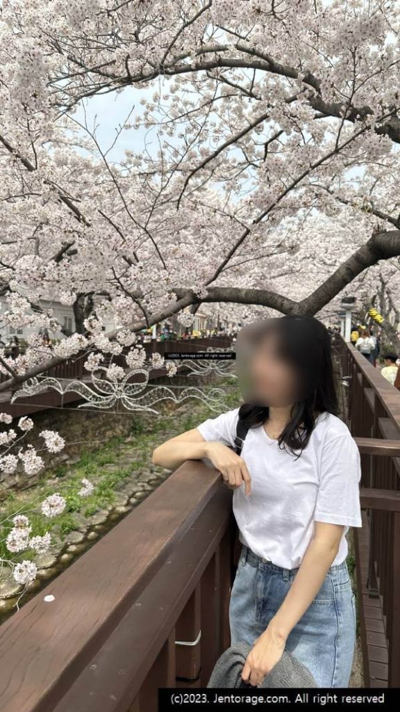 진해 군항제 후기
