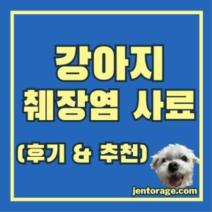 강아지 췌장염 사료 후기