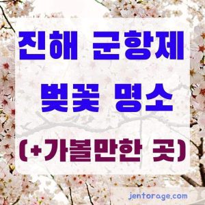 진해 군항제 후기