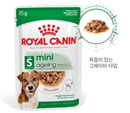 아픈 강아지 음식 추천 01